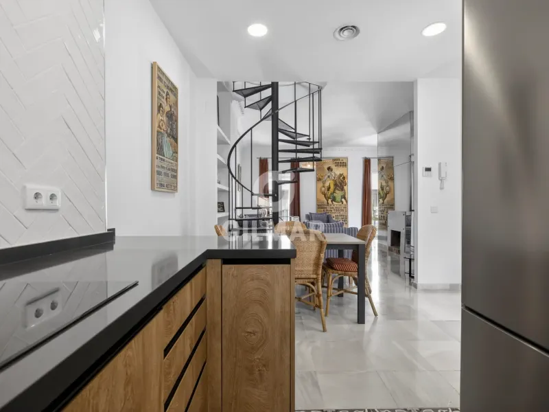 Duplex penthouse in Centro (Sevilla) - Sevilla