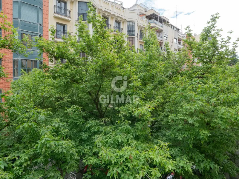 Apartment in Argüelles - Madrid