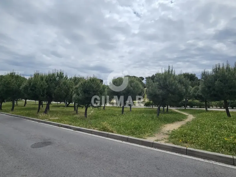 Bajo en Majadahonda - Madrid