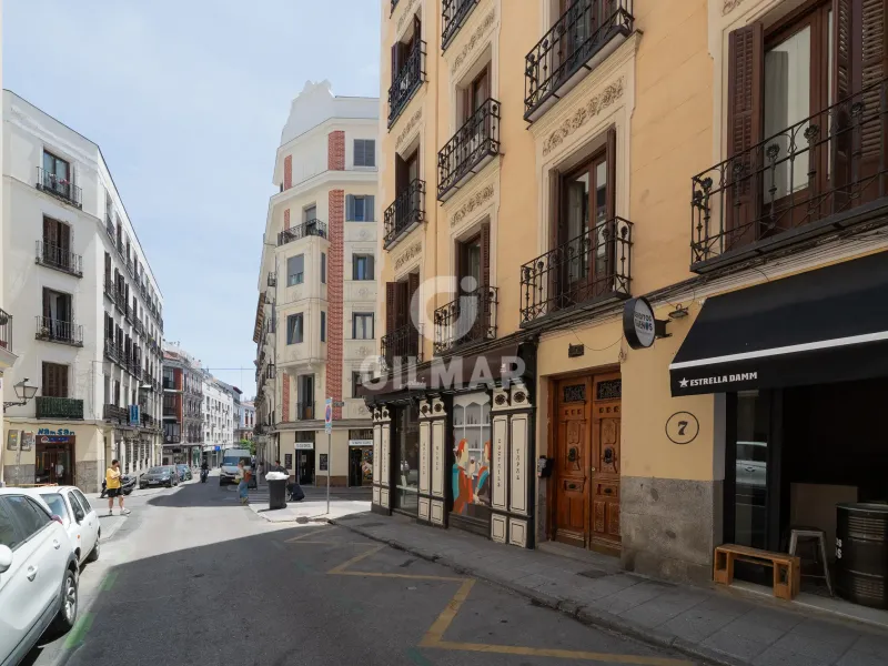 Apartment in Malasaña - Madrid