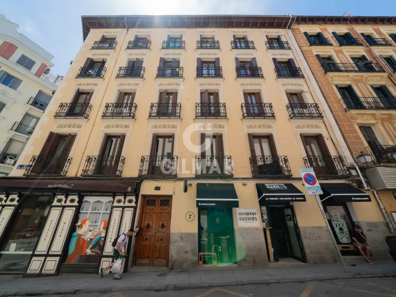 Apartment in Malasaña - Madrid
