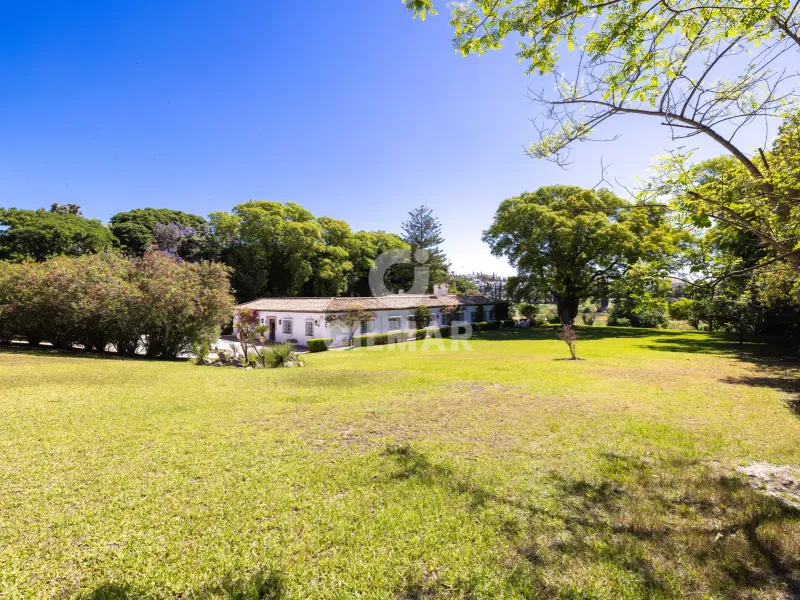 Villa in Benahavís - Málaga