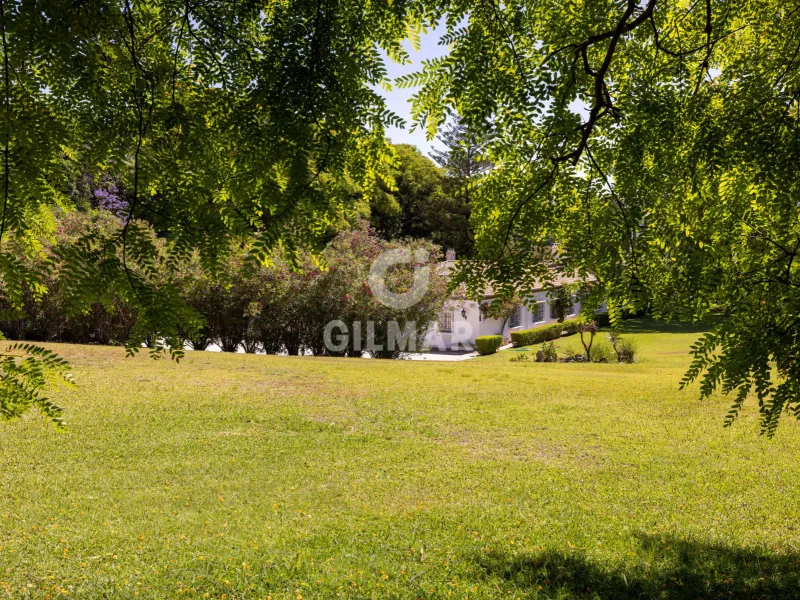 Villa in Benahavís - Málaga