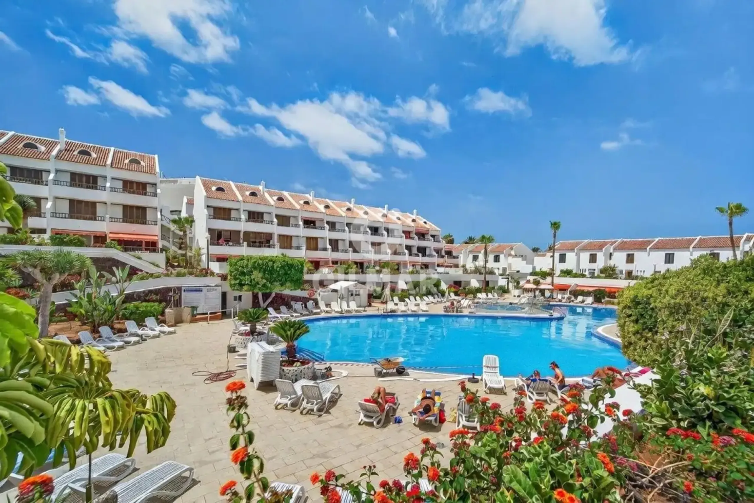 Apartment in Arona - Santa Cruz de Tenerife