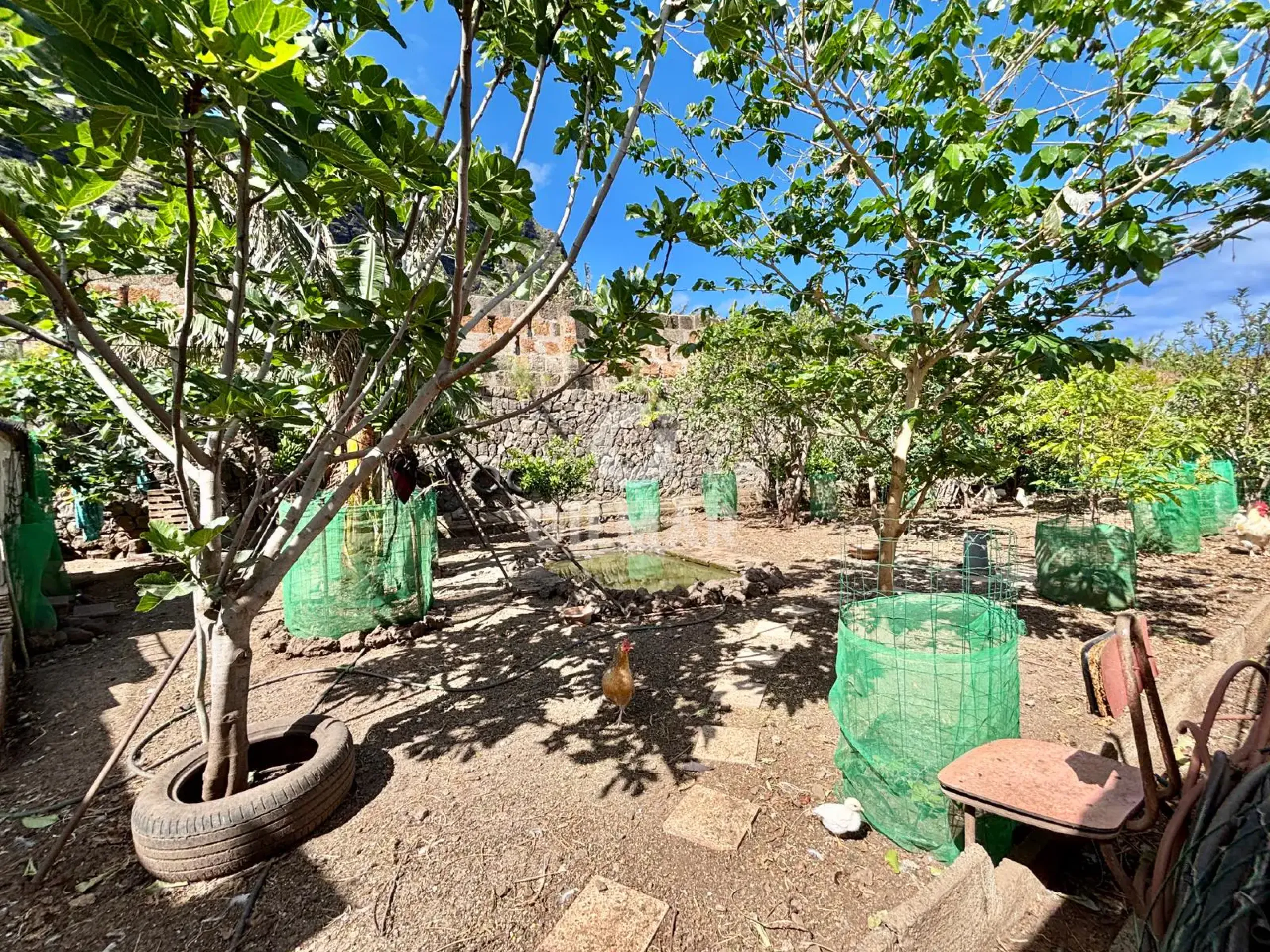 Villa in Buenavista del Norte-Garachico - Santa Cruz de Tenerife