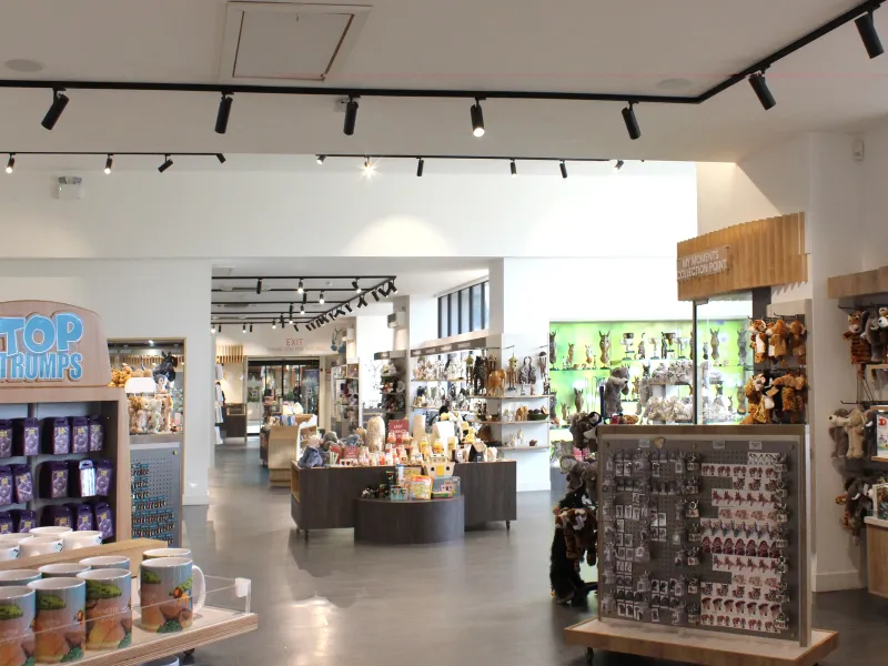 "High-Traffic Retail Property in Central Barcelona