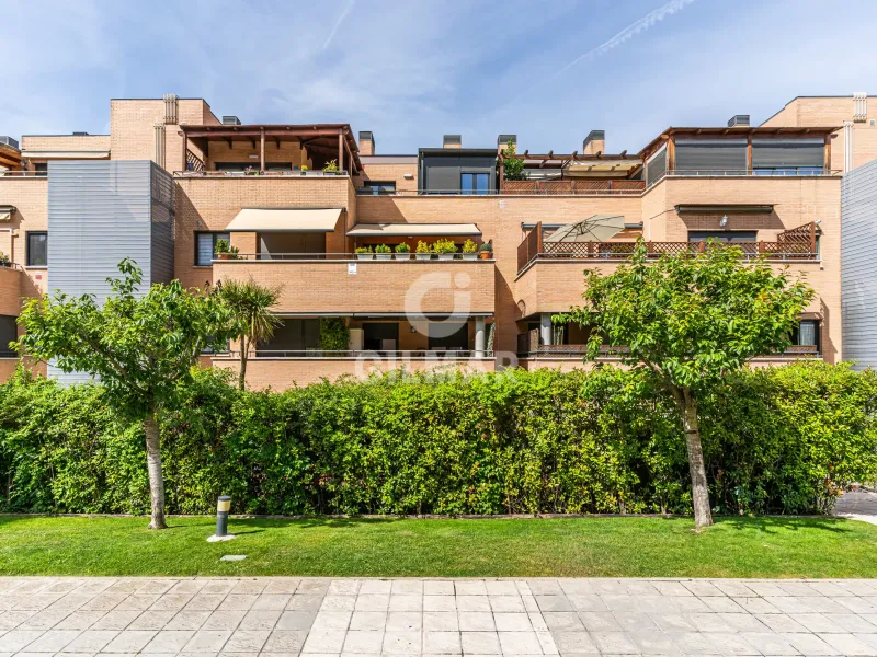 Apartment in Las Rozas - Madrid