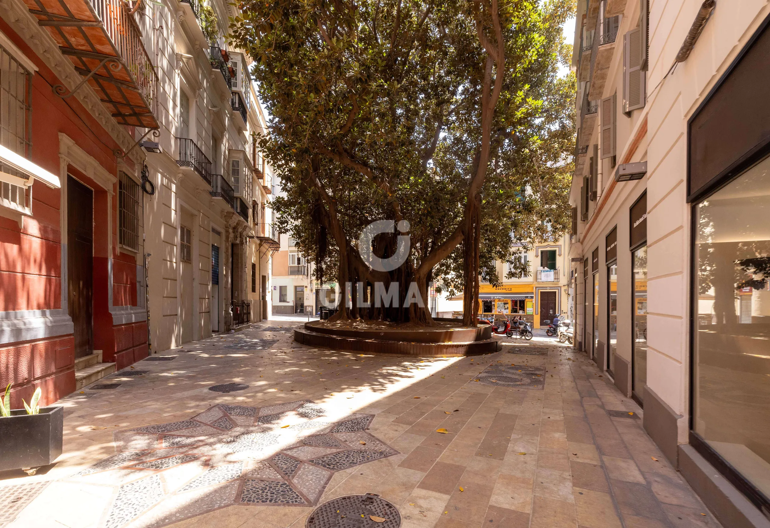 Apartment in Centro (Málaga) - Málaga