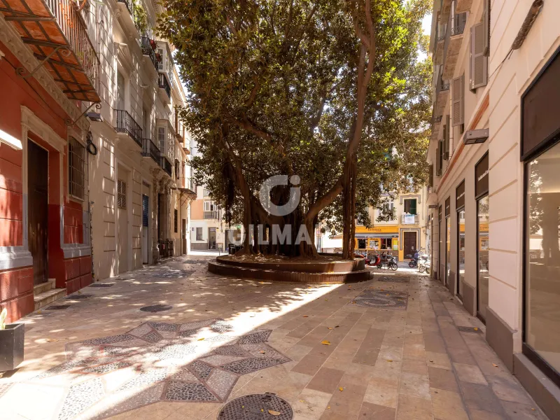 Apartment in Centro (Málaga) - Málaga