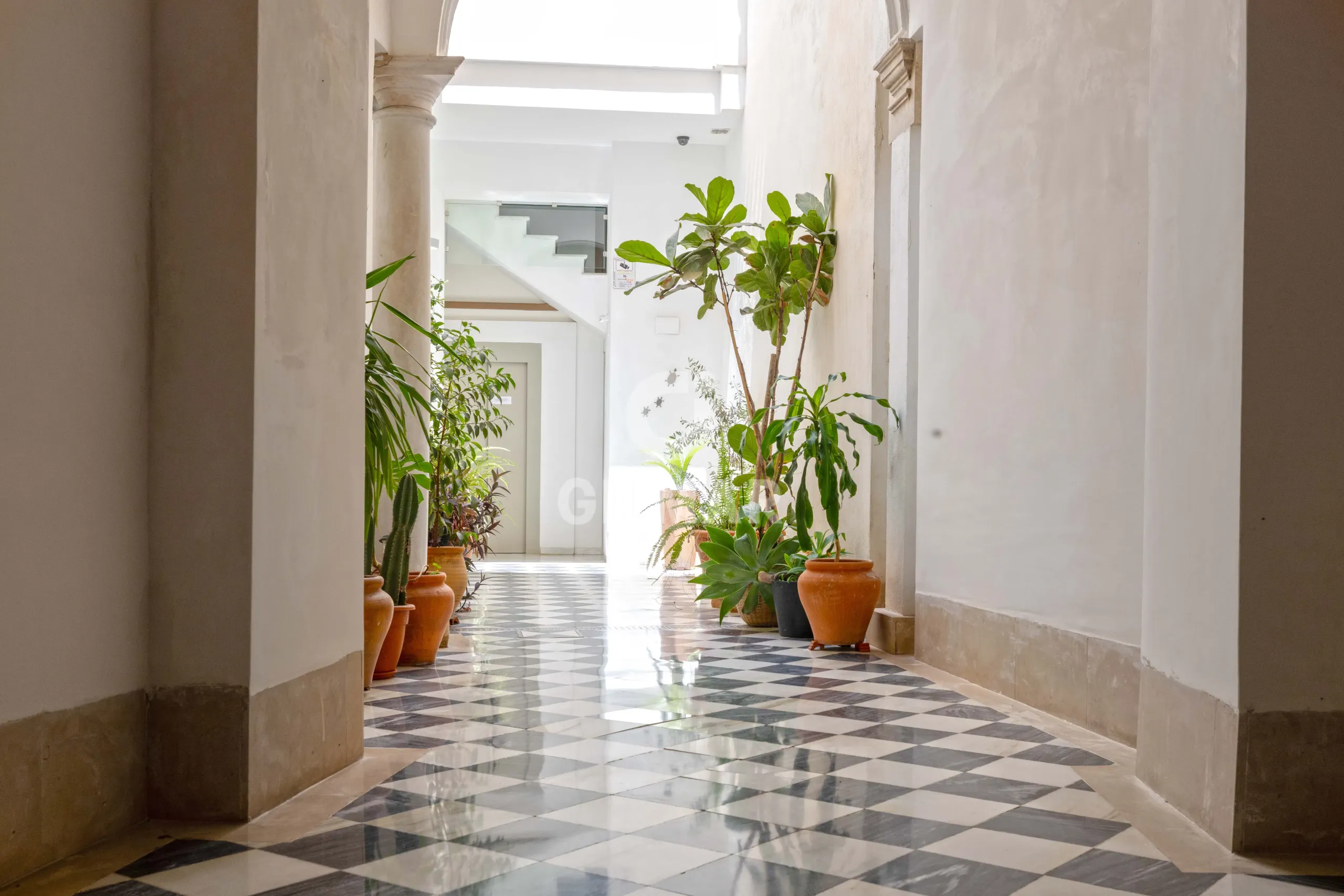 Apartment in Centro (Málaga) - Málaga