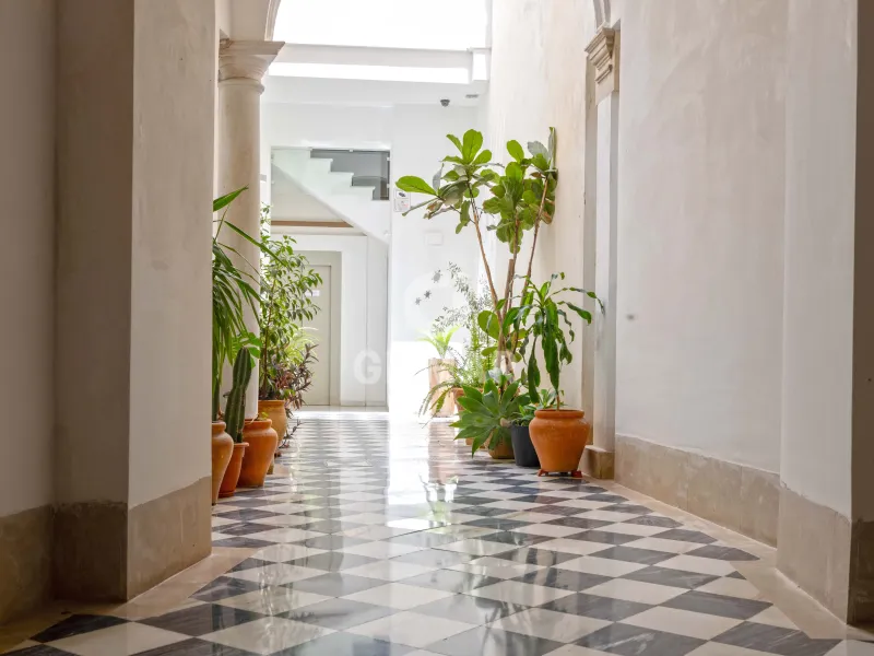 Apartment in Centro (Málaga) - Málaga