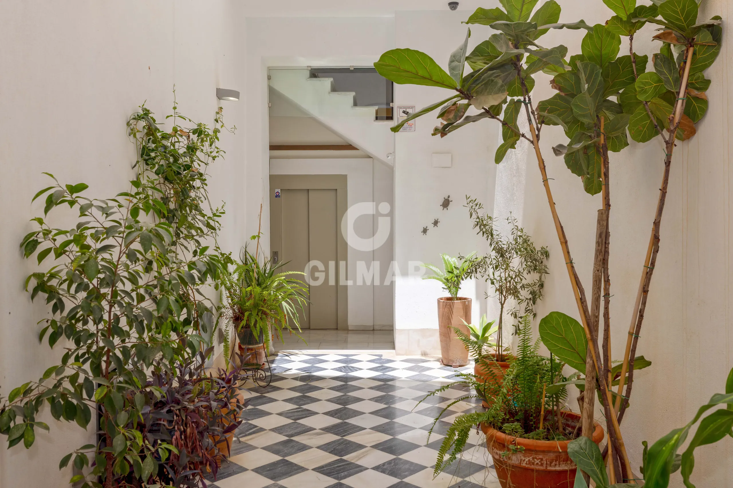 Apartment in Centro (Málaga) - Málaga