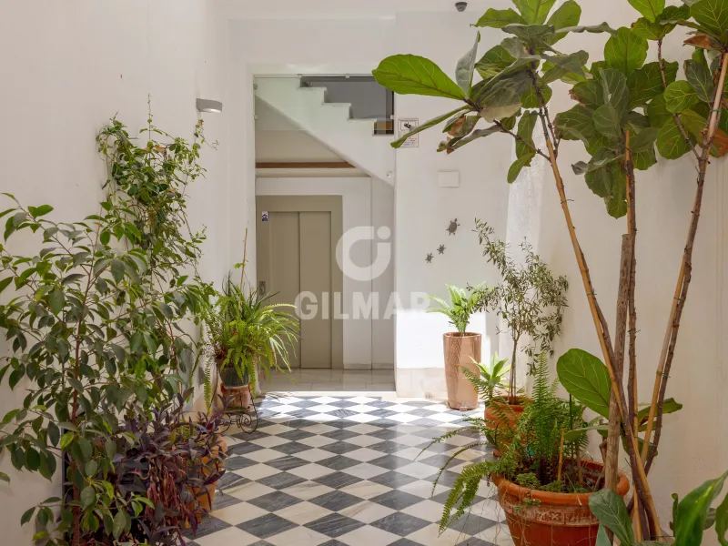 Apartment in Centro (Málaga) - Málaga