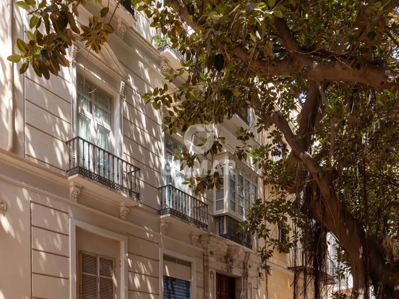 Apartment in Centro (Málaga) - Málaga