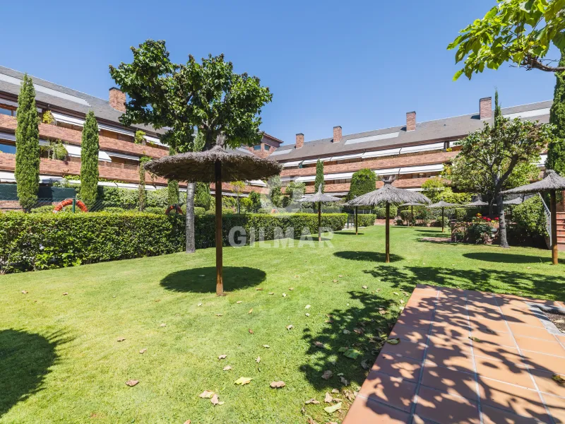 Apartment in Las Rozas - Madrid
