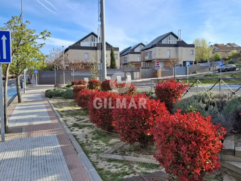 Semi-detached house in Las Rozas - Madrid