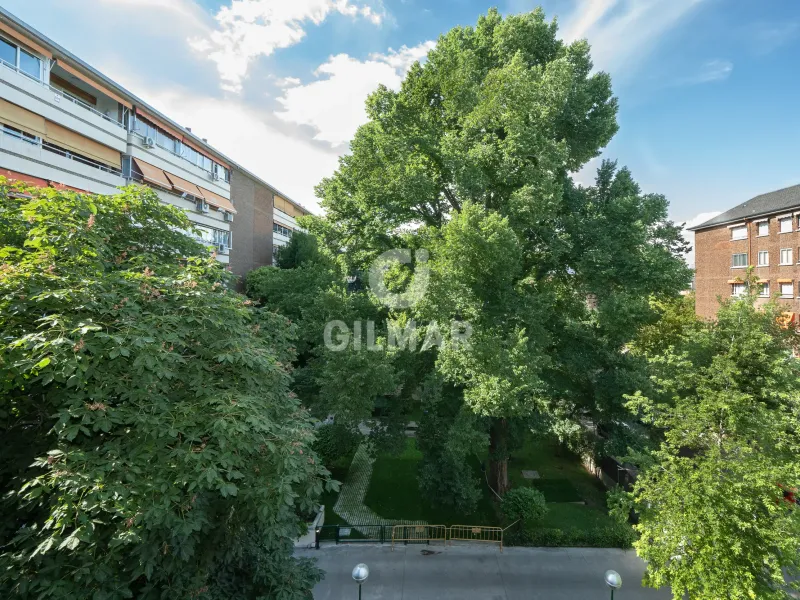 Apartment in Piovera - Madrid