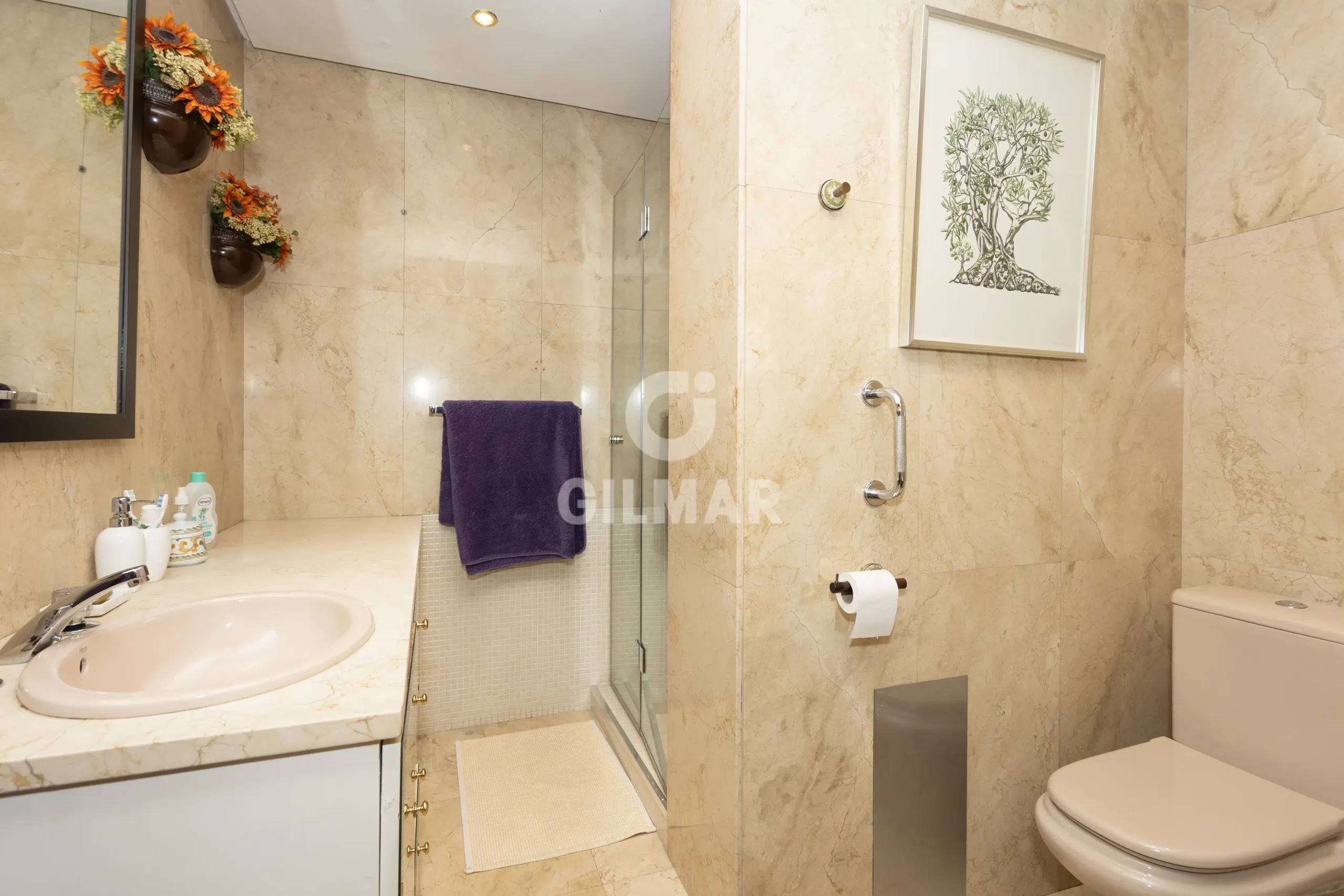Apartment in Castellana-Orense - Madrid