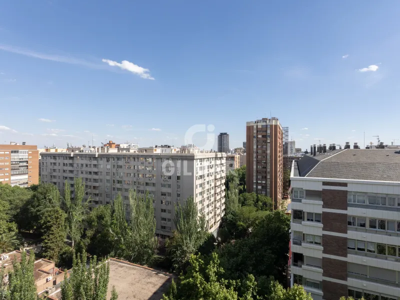 Apartment in Castellana-Orense - Madrid