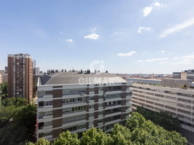 Apartment in Castellana-Orense - Madrid