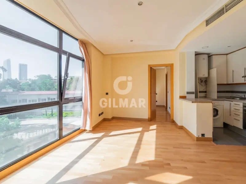 Piso en Nueva España - Madrid