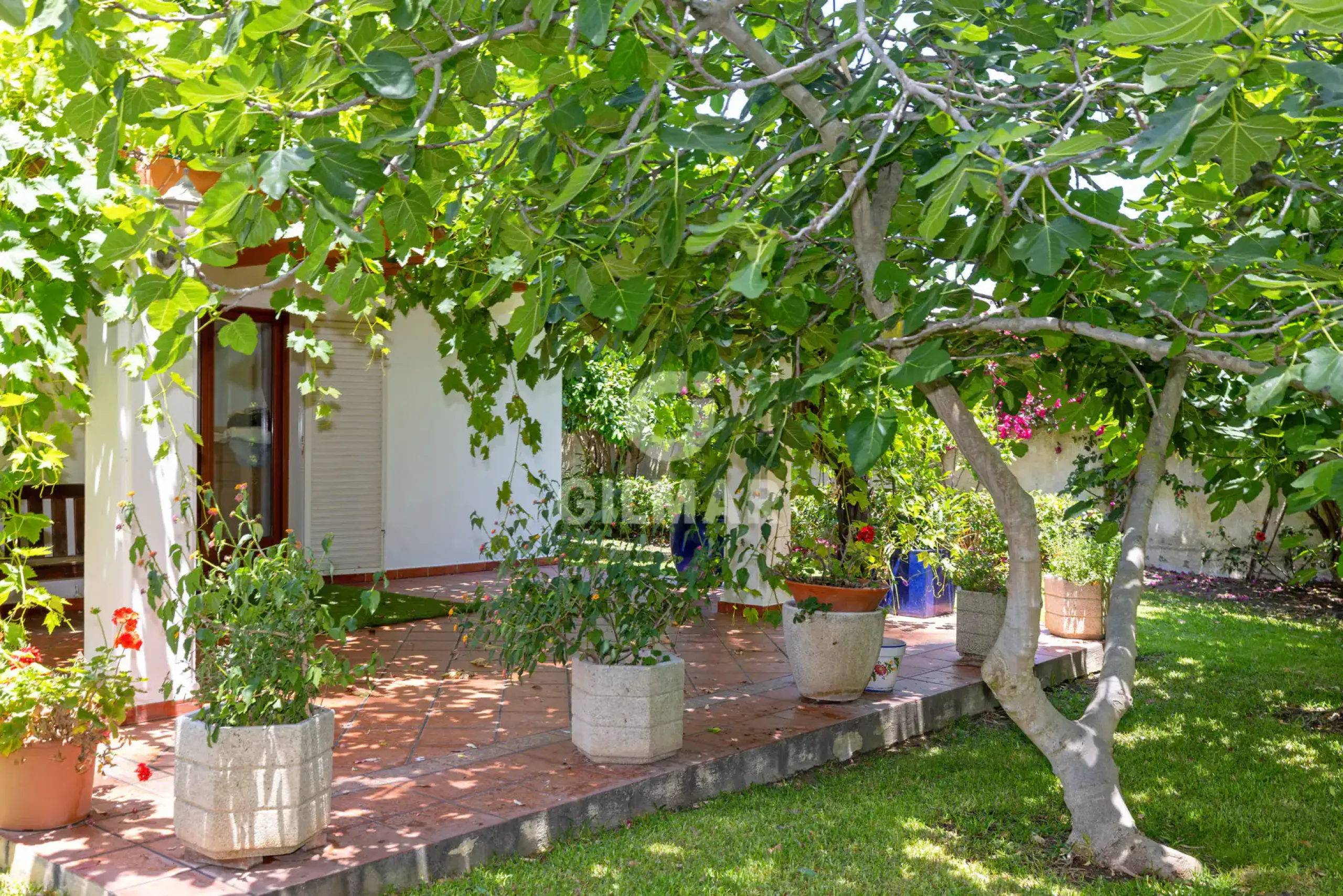 Villa in Estepona Este - Málaga
