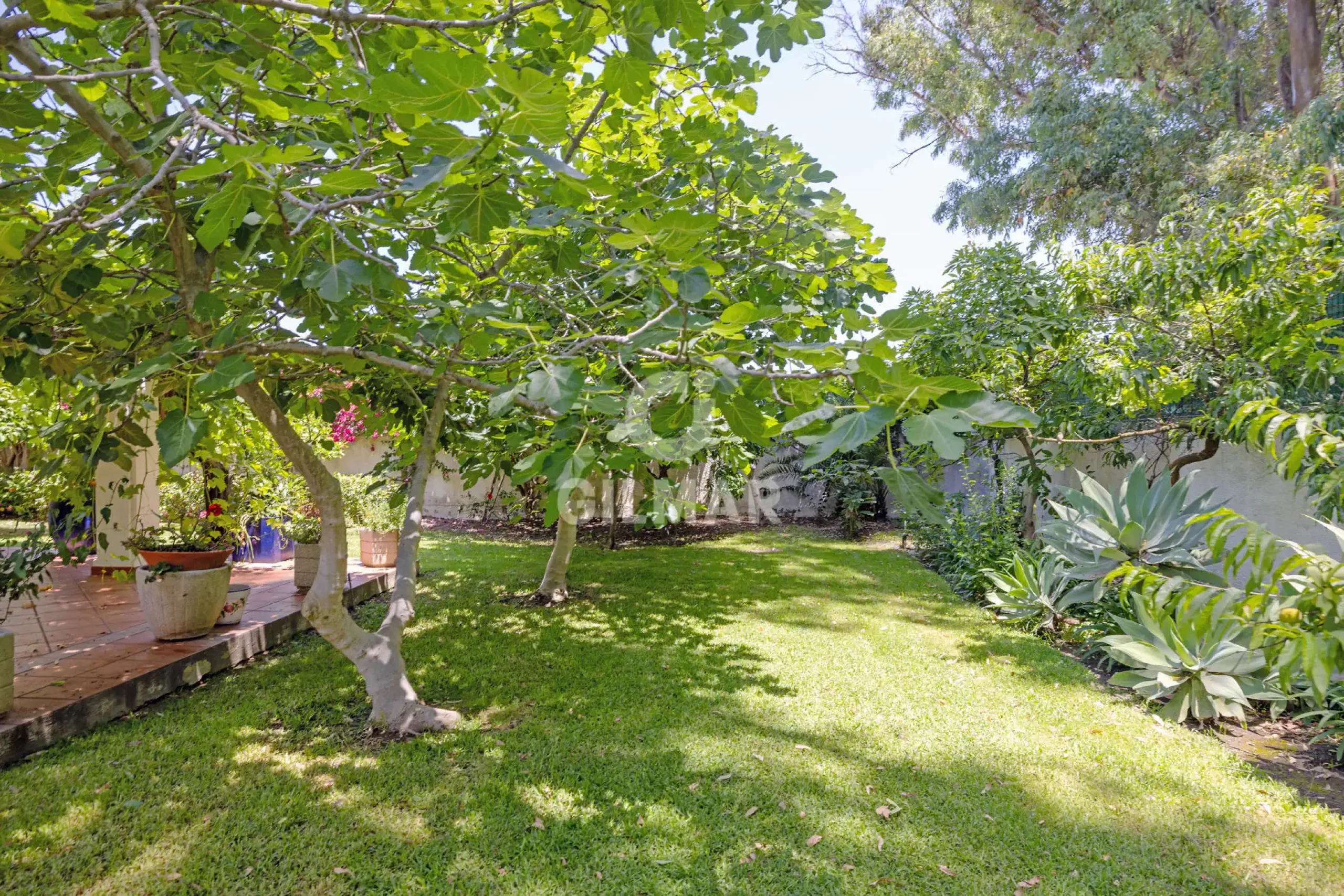 Villa in Estepona Este - Málaga