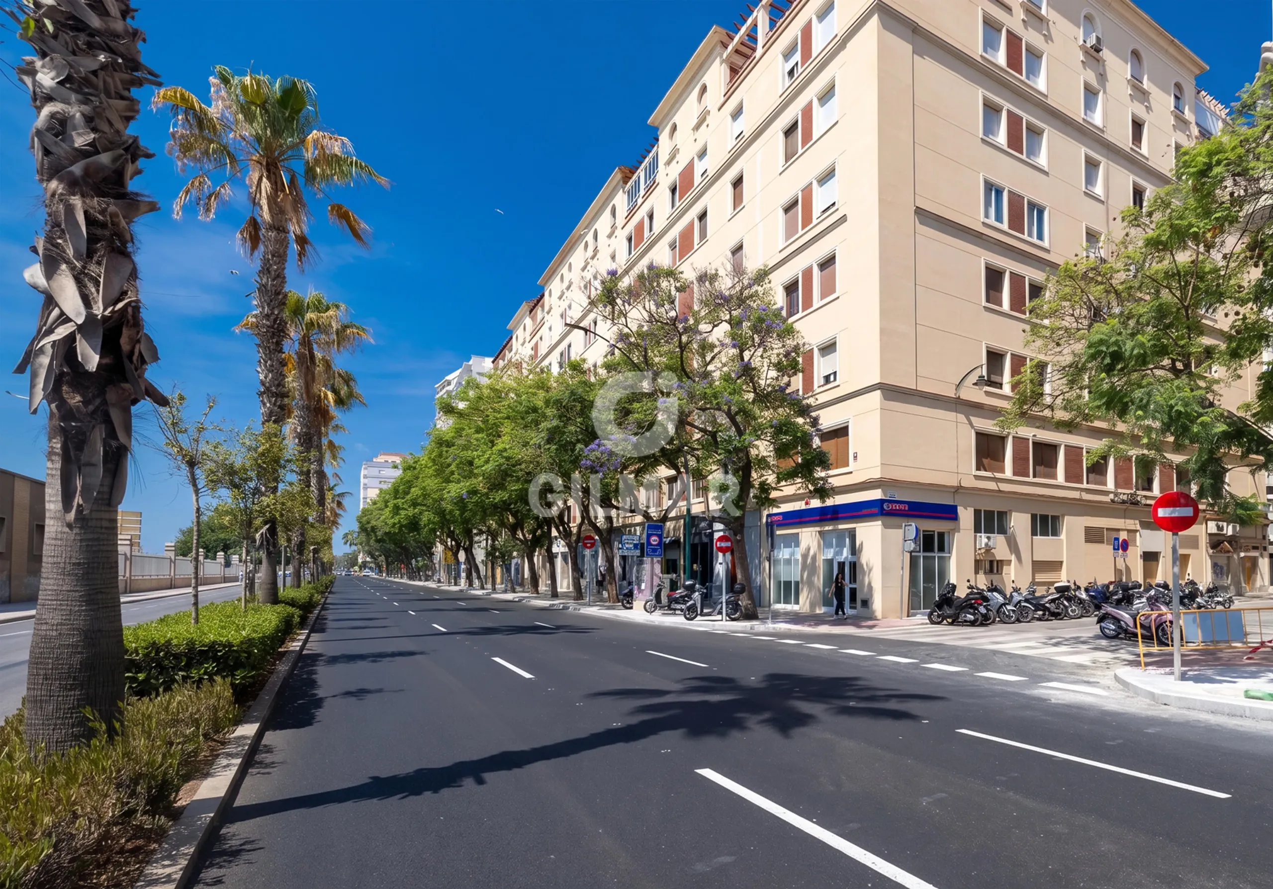 Apartment in Centro (Málaga) - Málaga