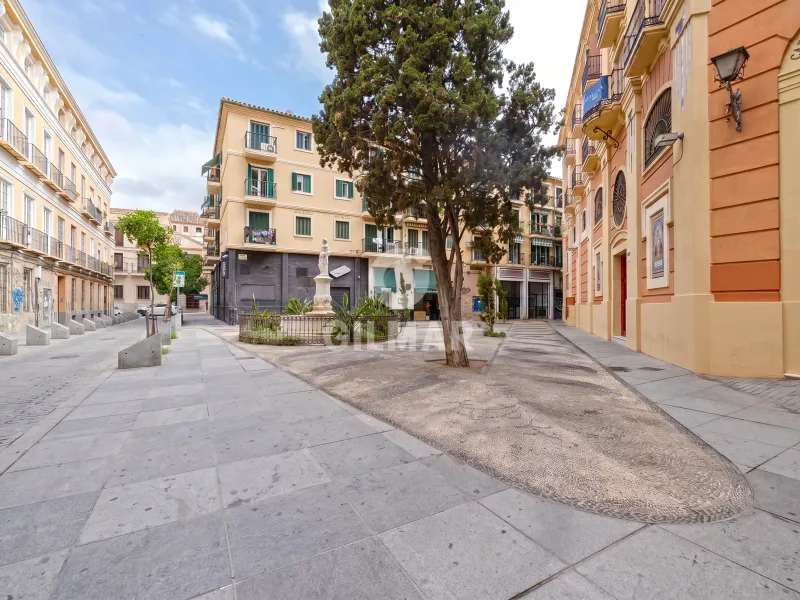 Apartment in Centro (Málaga) - Málaga