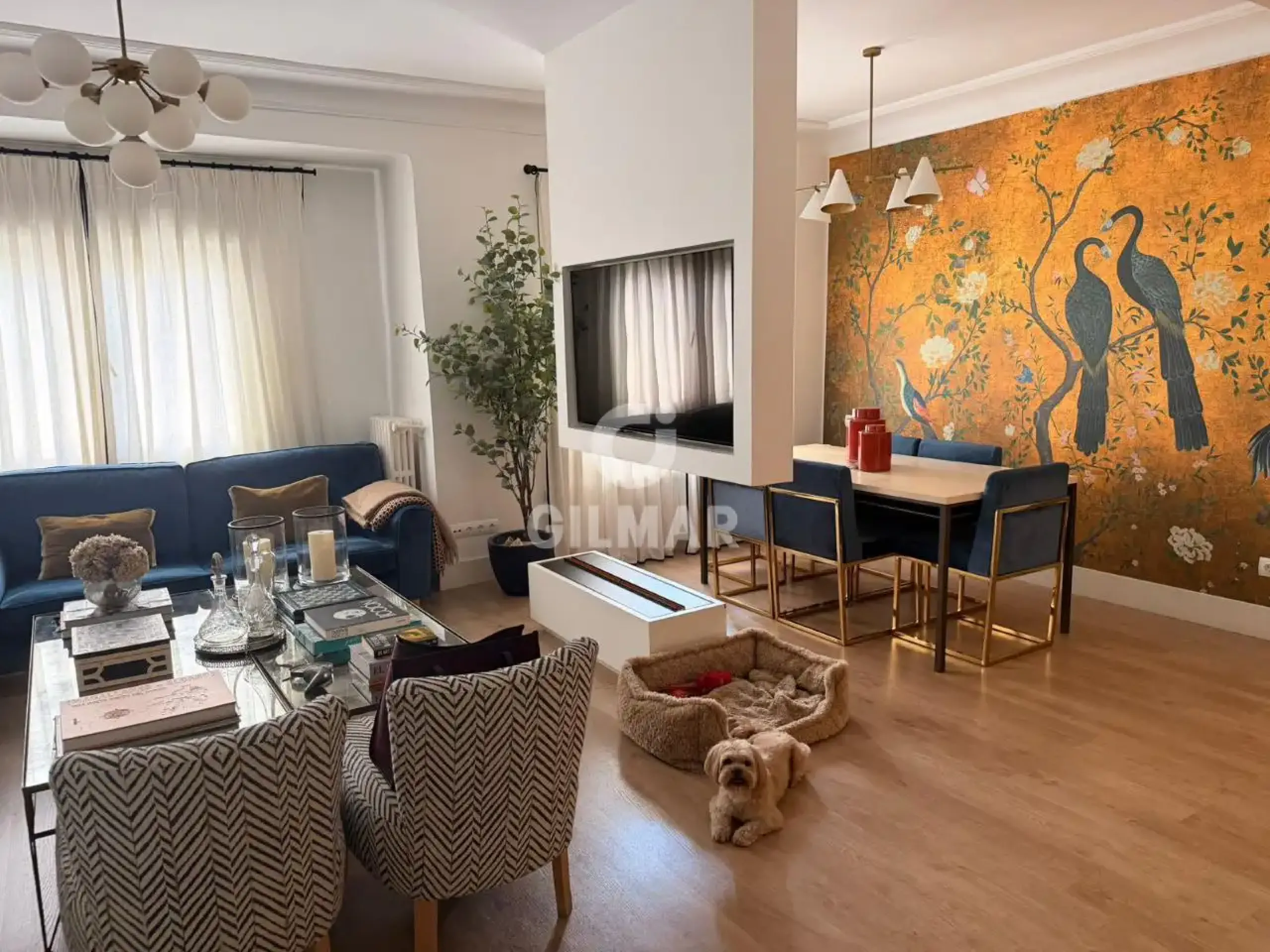 Apartment in Goya - Madrid