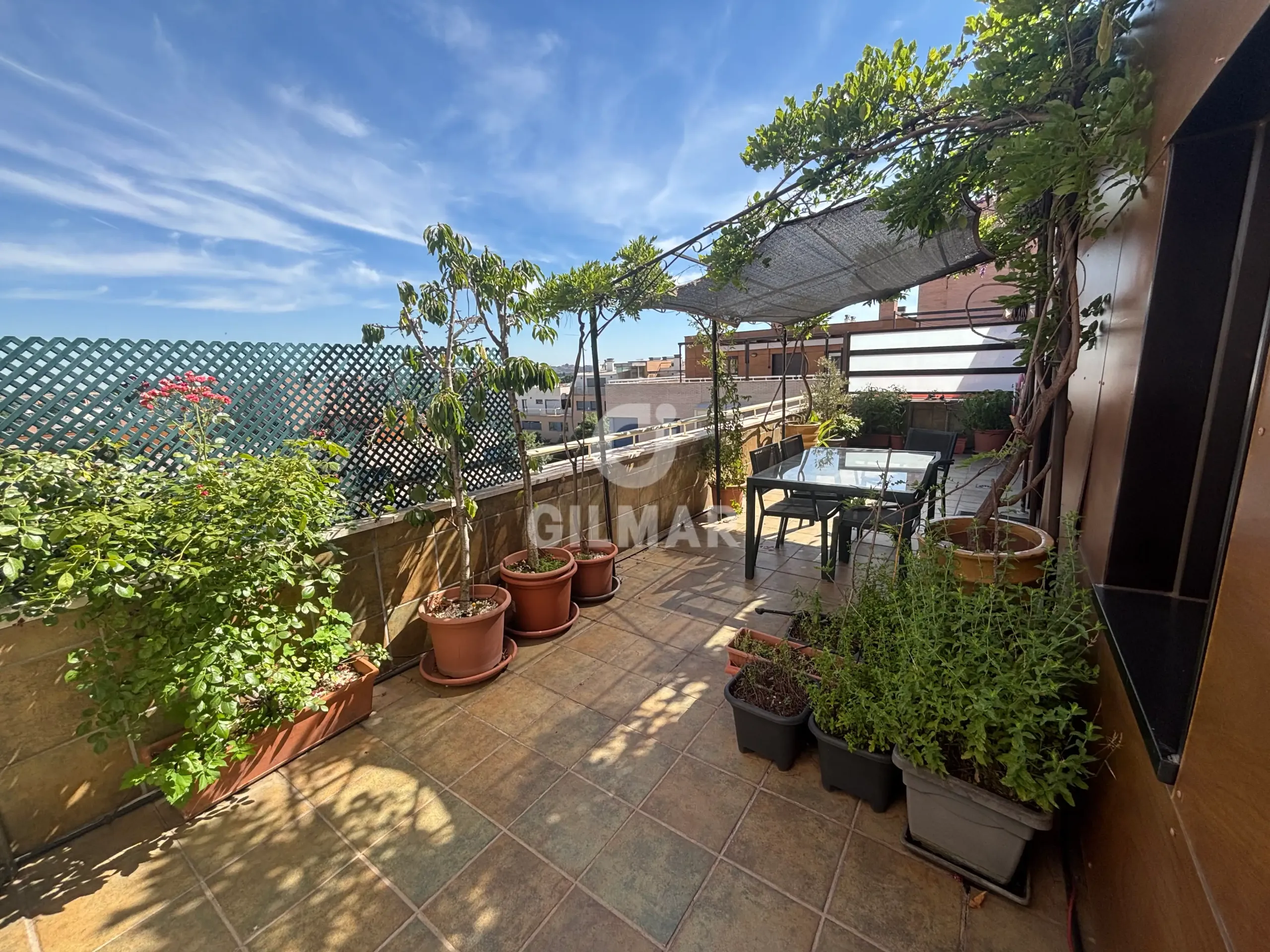 Penthouse in Corralejos - Madrid