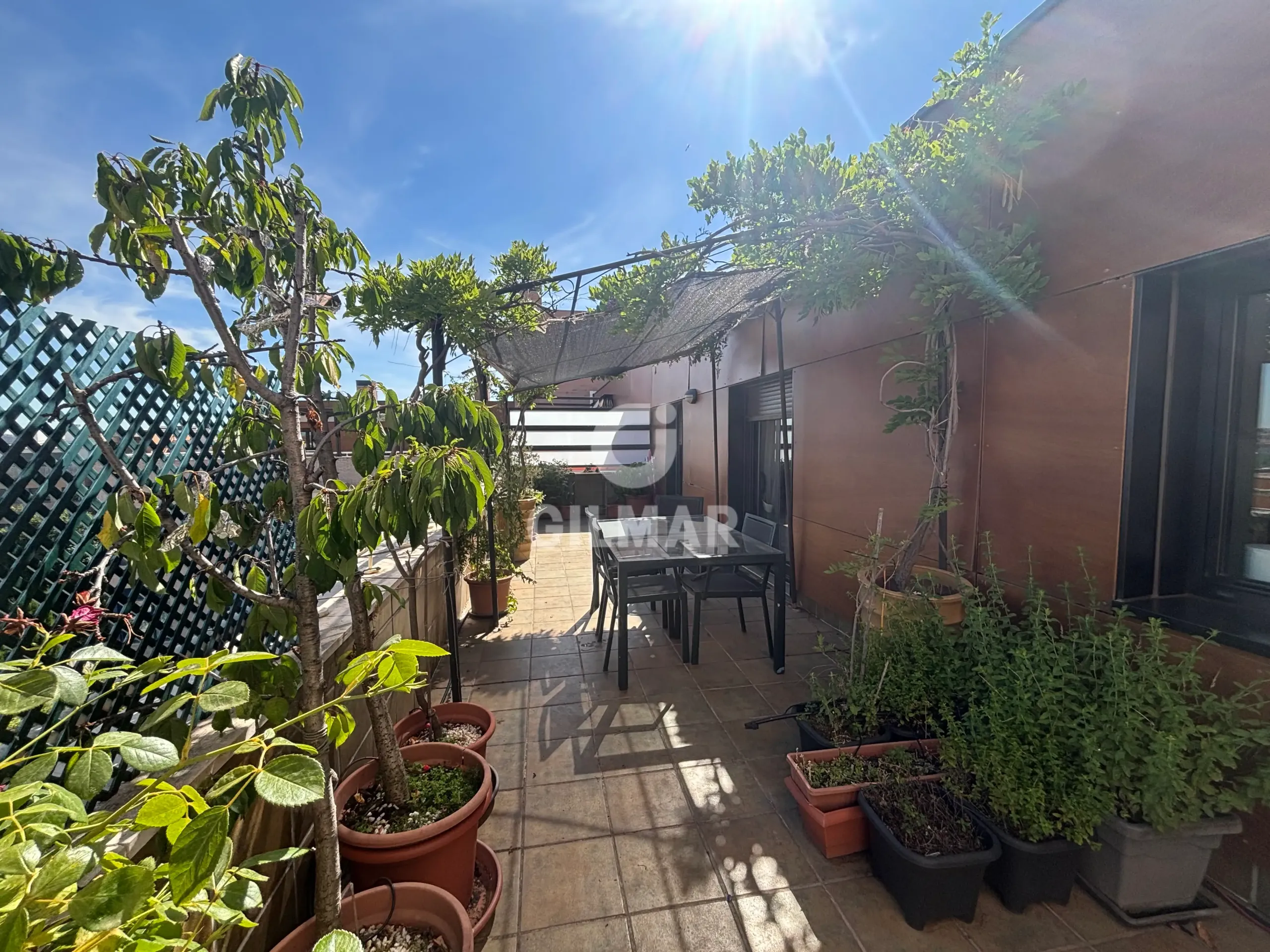 Penthouse in Corralejos - Madrid