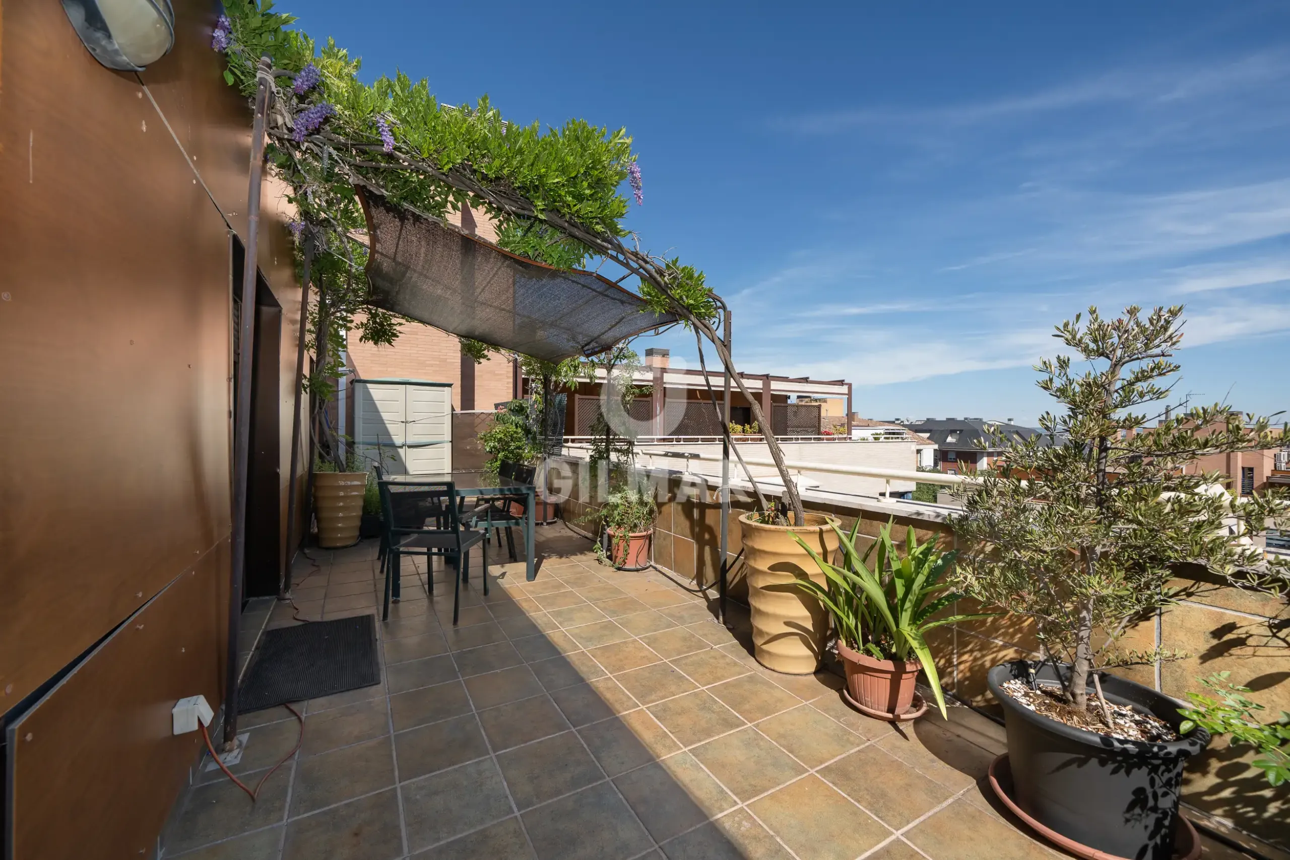 Penthouse in Corralejos - Madrid