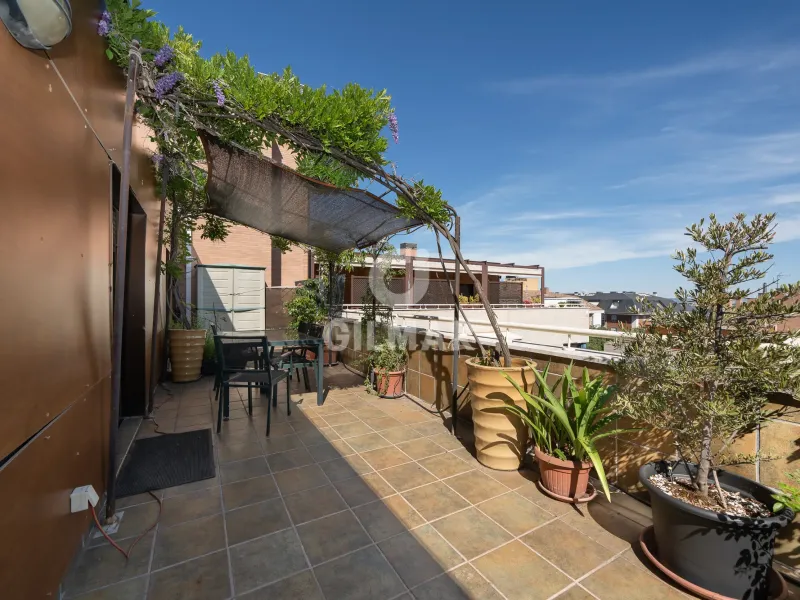 Penthouse in Corralejos - Madrid