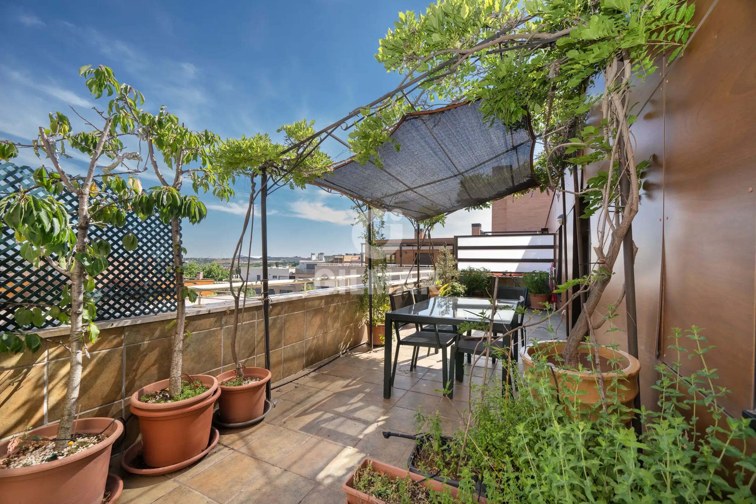 Penthouse in Corralejos - Madrid