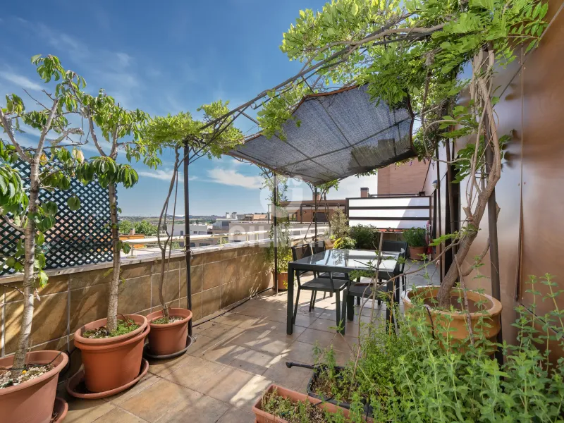 Penthouse in Corralejos - Madrid