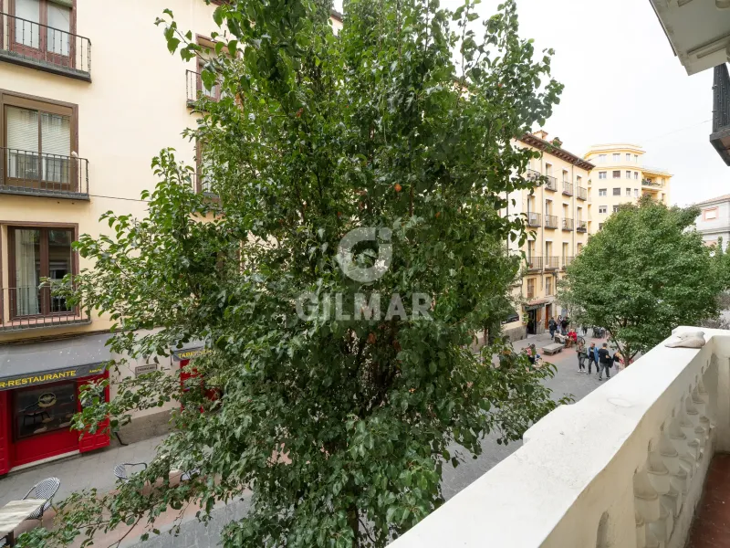Apartment in Palacio - Madrid