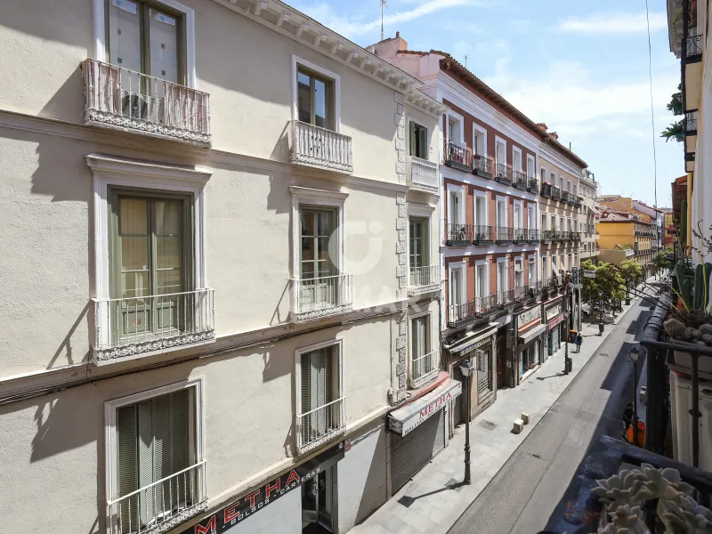 Apartment in Lavapiés - Madrid