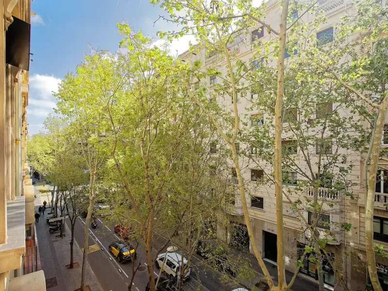 Oportunidad de reforma en edificio regio – piso amplio con carácter en Eixample, Barcelona