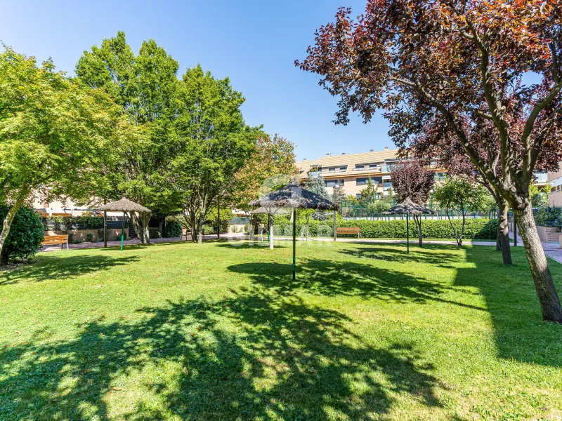 Penthouse in Las Rozas - Madrid