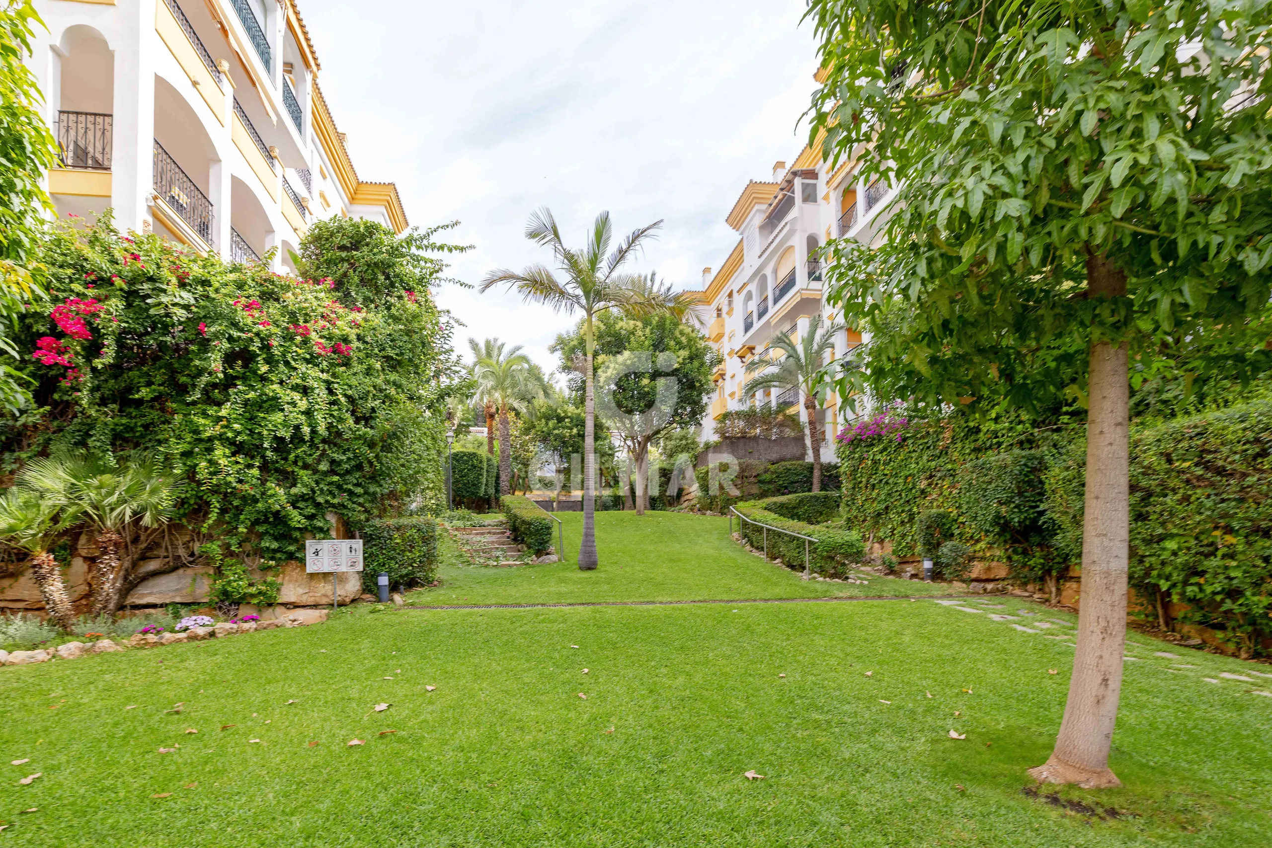 Ground floor apartment in Marbella Ciudad - Málaga