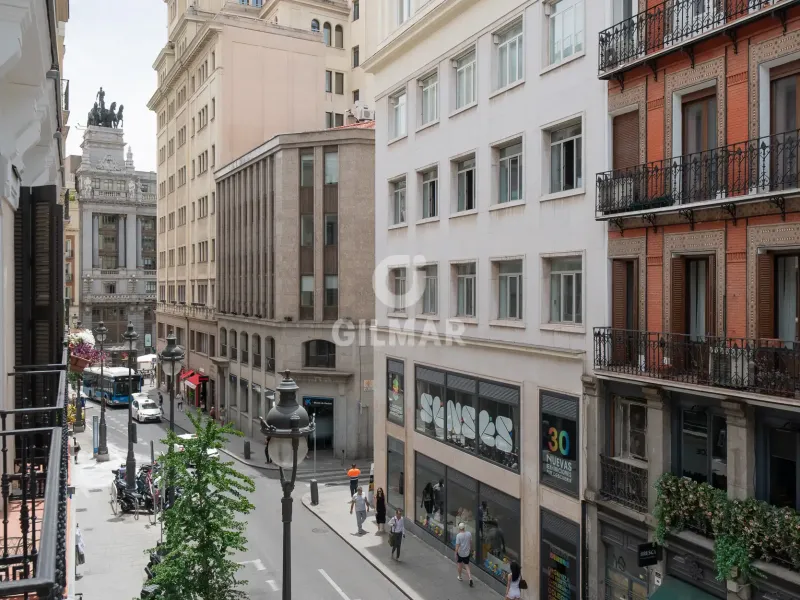Apartment in Cortes - Madrid