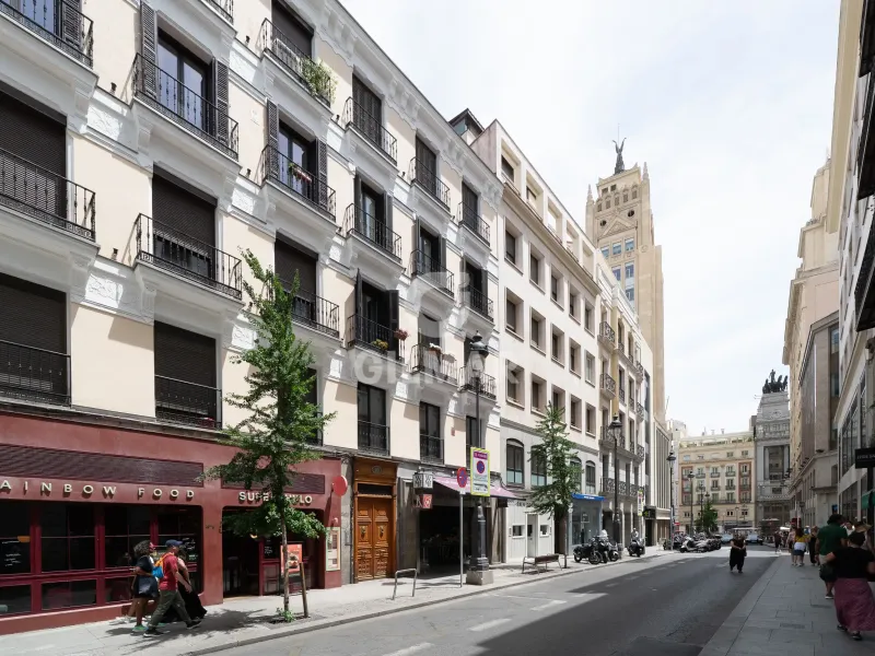 Apartment in Cortes - Madrid