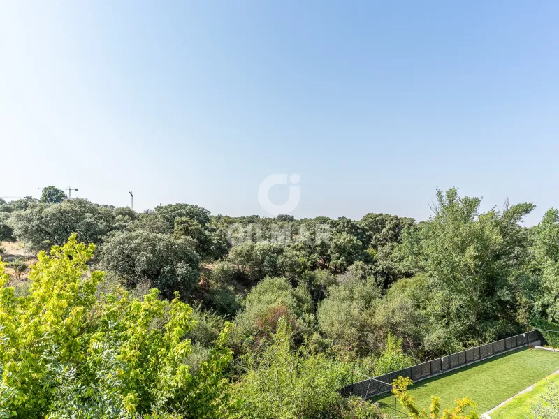 Villa in Las Rozas - Madrid