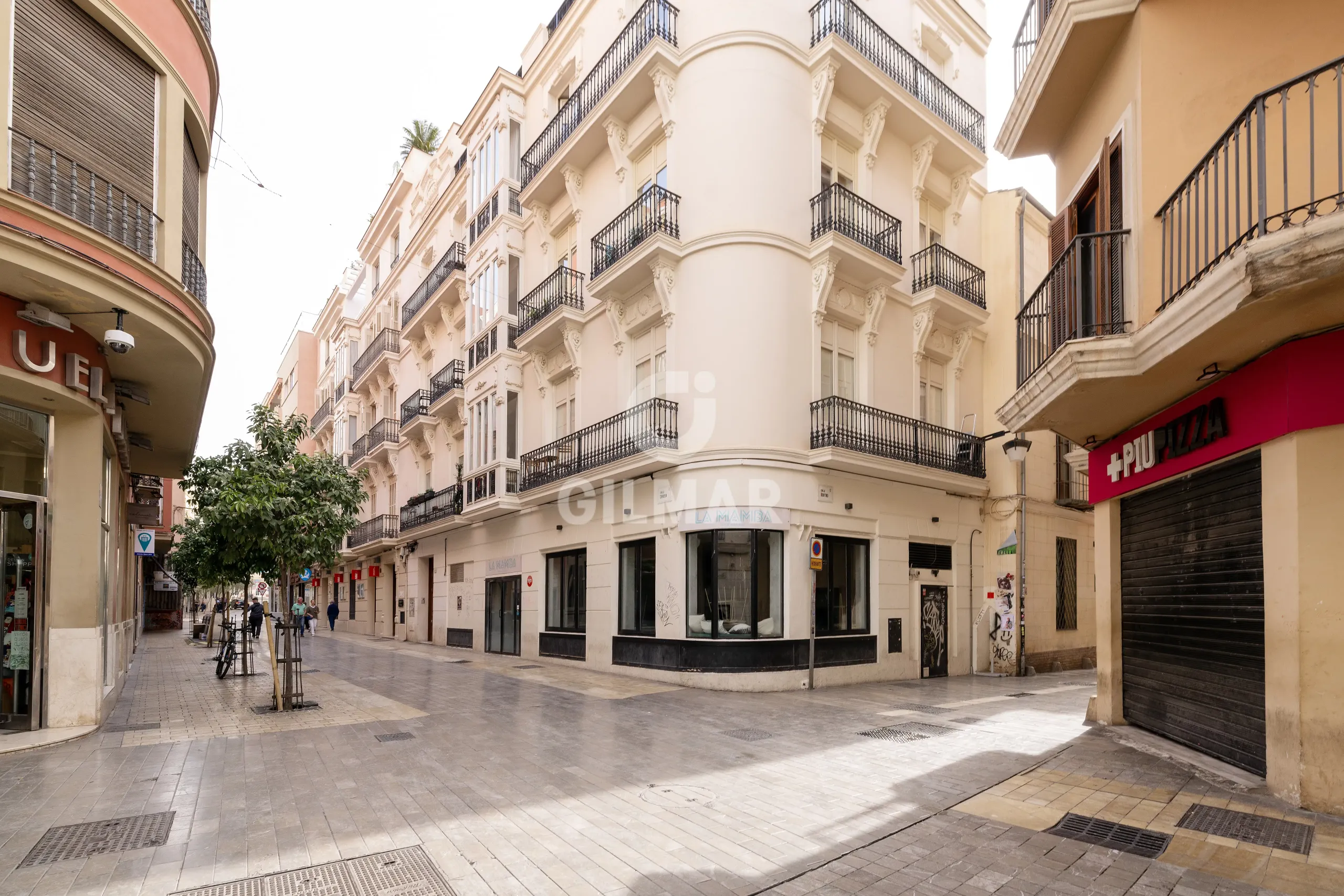 Apartment in Centro (Málaga) - Málaga