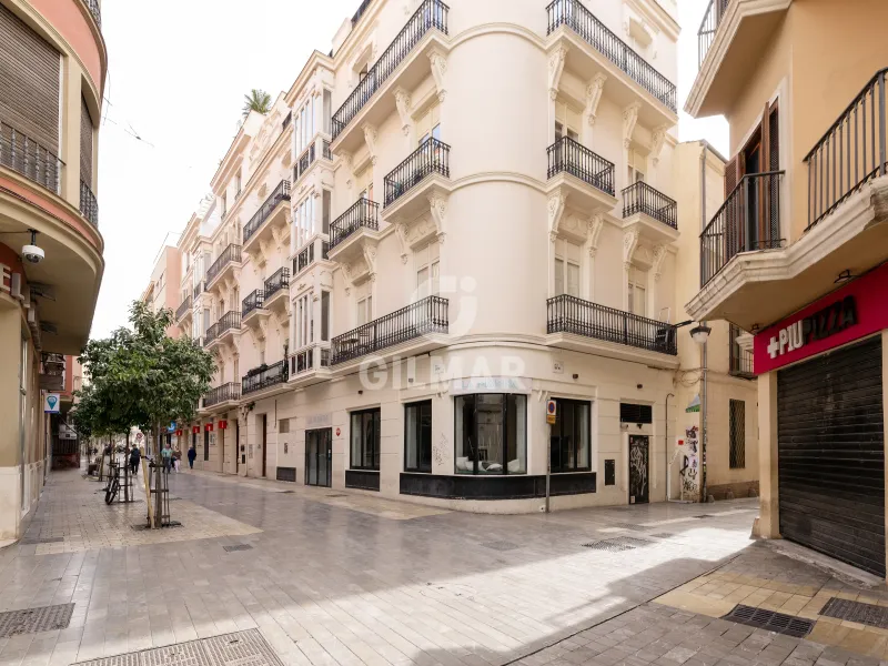 Apartment in Centro (Málaga) - Málaga