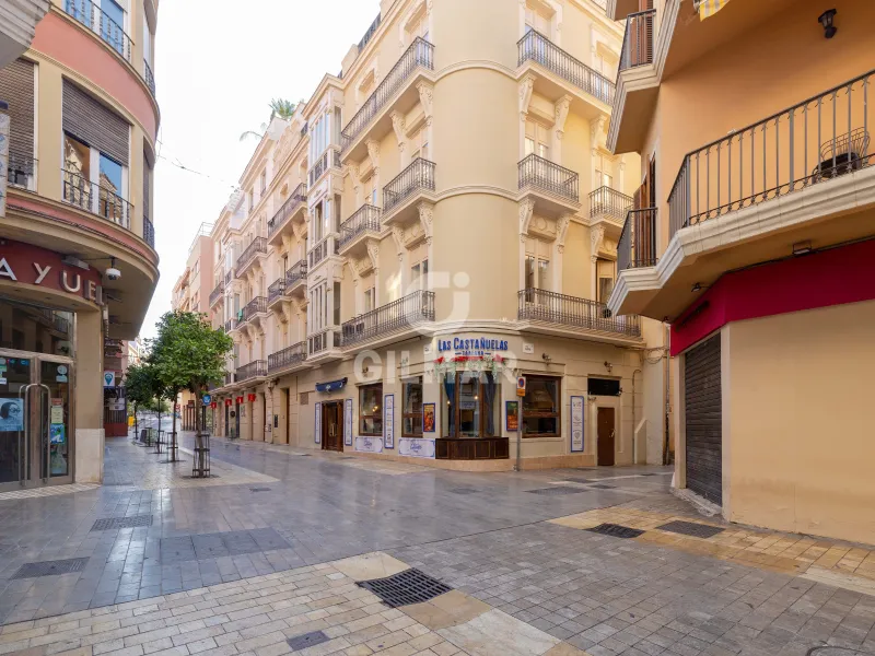 Apartment in Centro (Málaga) - Málaga