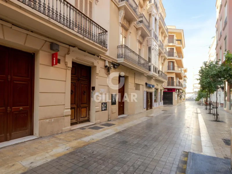 Apartment in Centro (Málaga) - Málaga