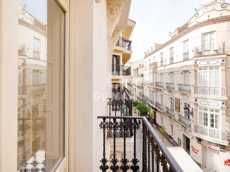 Apartment in Centro (Málaga) - Málaga