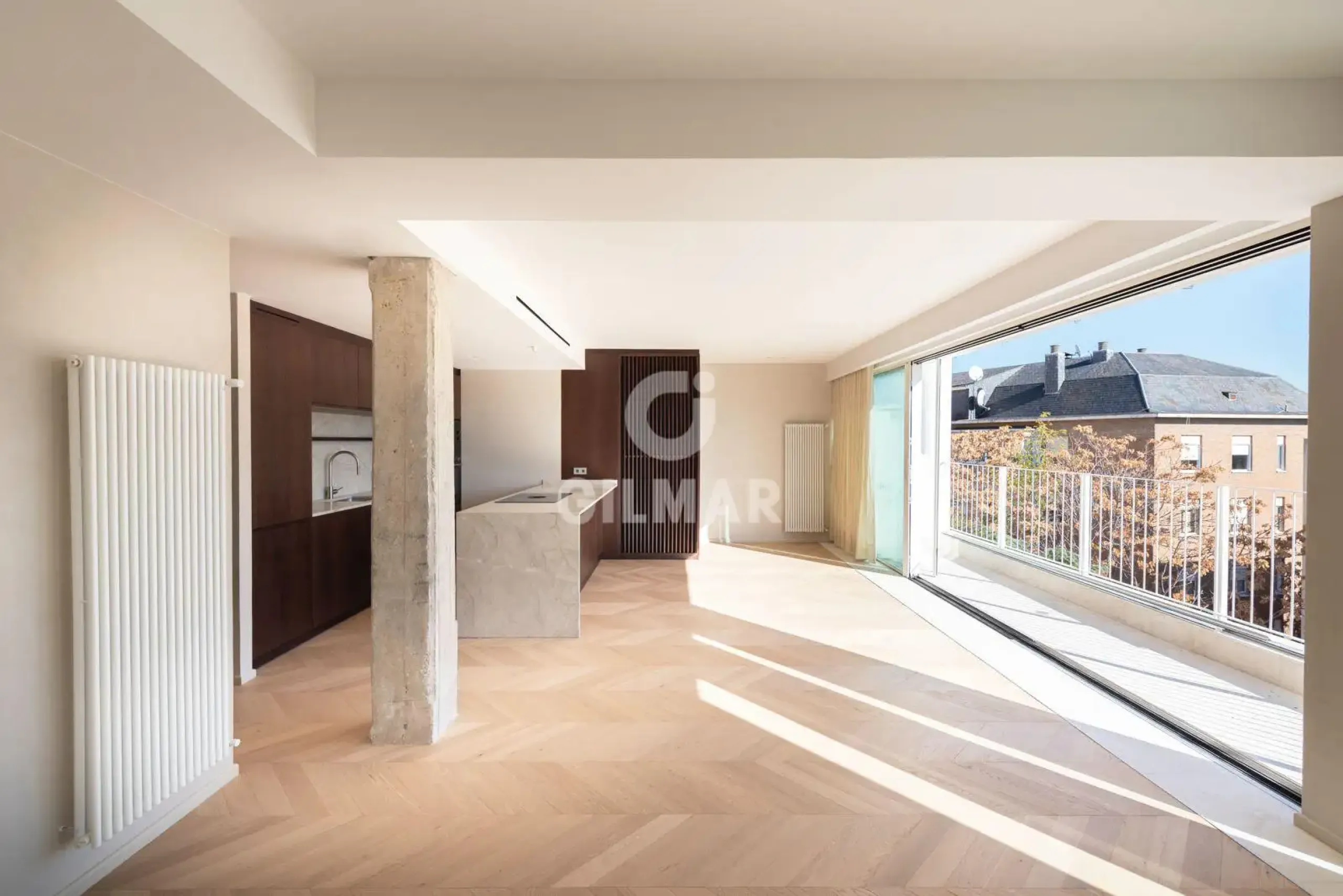 Penthouse in El Viso - Madrid